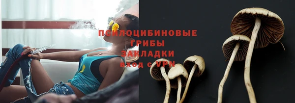 кокс Беломорск