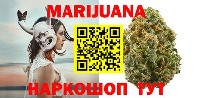 крисы Гай
