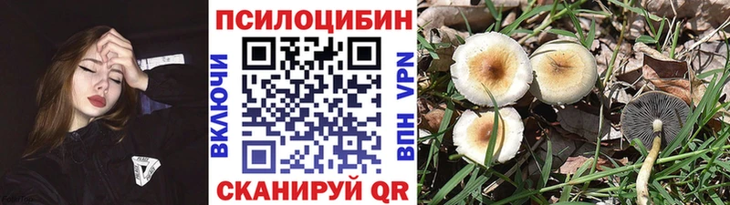 где продают   даркнет как зайти  Псилоцибиновые грибы мицелий  Кушва 