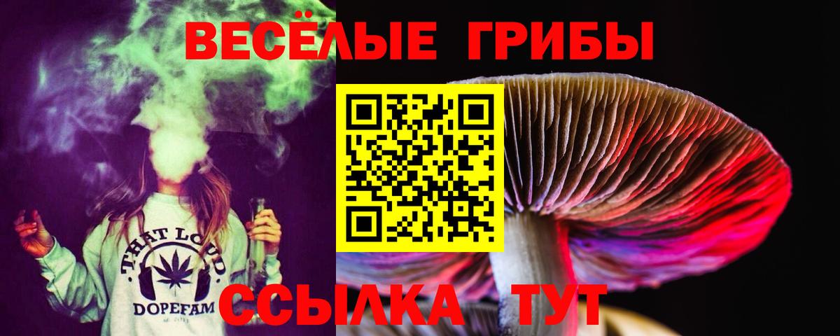 Галлюциногенные грибы ЛСД Кушва